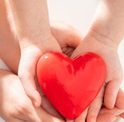 The Importance of Heart Health in Your Sexual Life